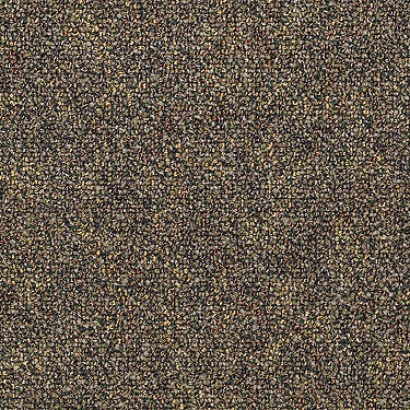 Hot Circuit Commercial Carpet by Philadelphia Commercial in the color Transistor. Sample of greens carpet pattern and texture.