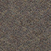 Hot Circuit Commercial Carpet by Philadelphia Commercial in the color Adapter. Sample of grays carpet pattern and texture.