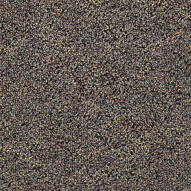 Hot Circuit Commercial Carpet by Philadelphia Commercial in the color Adapter. Sample of grays carpet pattern and texture.