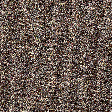 Hot Circuit Commercial Carpet by Philadelphia Commercial in the color Terminal. Sample of browns carpet pattern and texture.