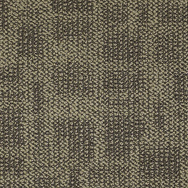 Area Commercial Carpet by Philadelphia Commercial in the color Natures Edge. Sample of greens carpet pattern and texture.
