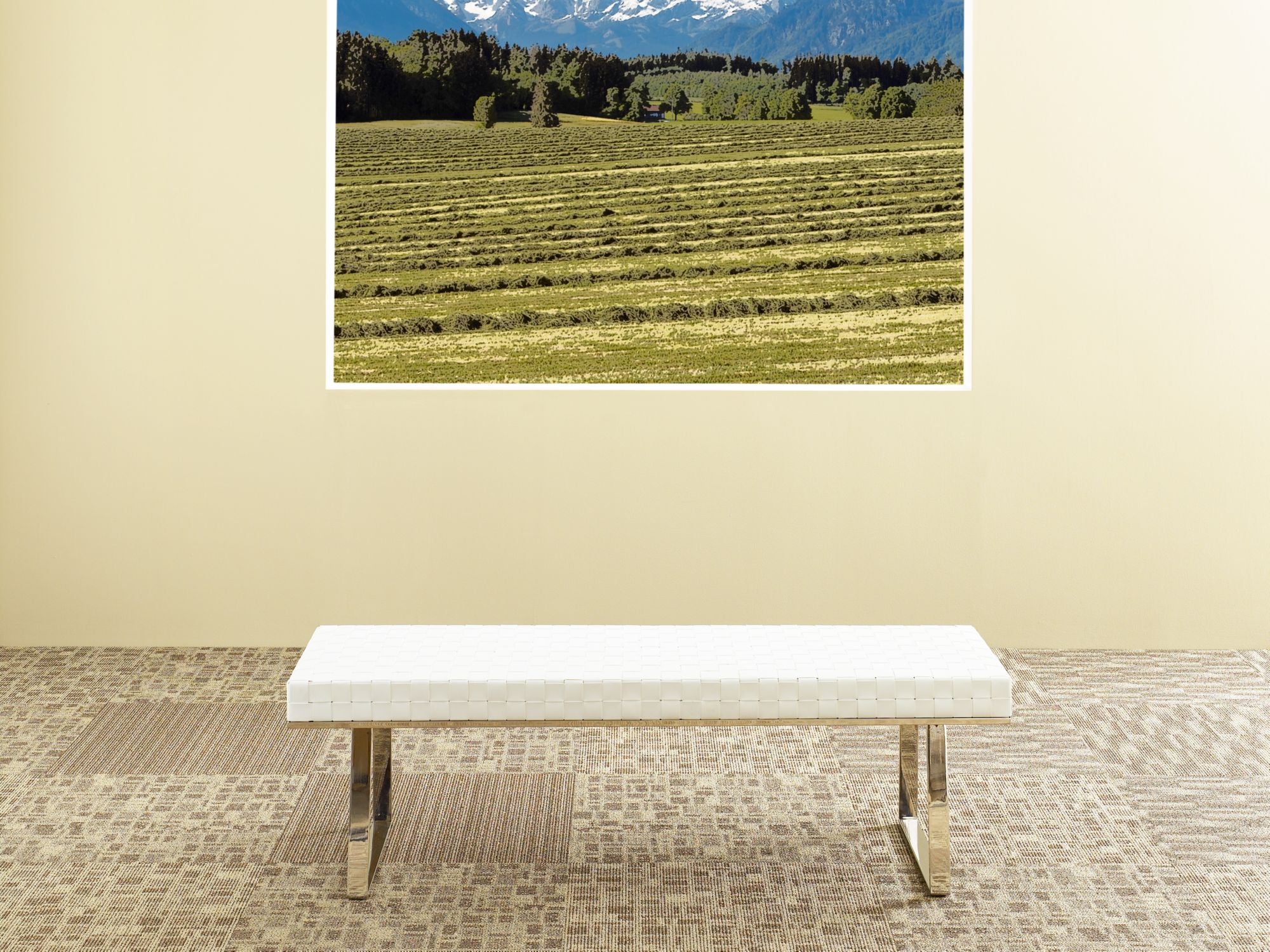 Area Commercial Carpet by Philadelphia Commercial in the color Fresh Air. Image of greens carpet in a room.