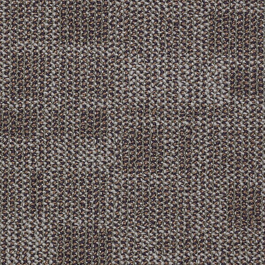 Area Commercial Carpet by Philadelphia Commercial in the color Organic Roots. Sample of grays carpet pattern and texture.