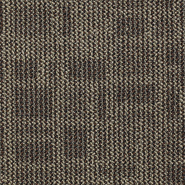 Area Commercial Carpet by Philadelphia Commercial in the color Rugged Terrain. Sample of browns carpet pattern and texture.