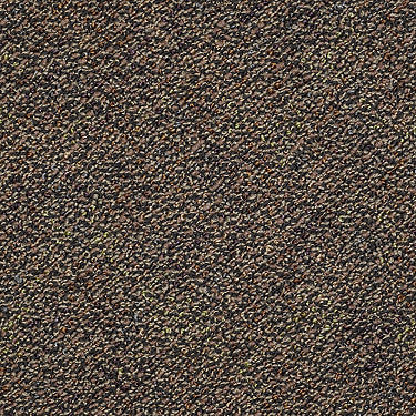 Swizzle Commercial Carpet by Philadelphia Commercial in the color Dominos. Sample of browns carpet pattern and texture.