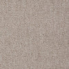 Win Win Commercial Carpet by Philadelphia Commercial in the color Triumph. Sample of beiges carpet pattern and texture.