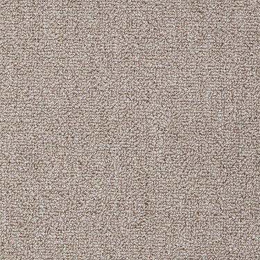 Win Win Commercial Carpet by Philadelphia Commercial in the color Triumph. Sample of beiges carpet pattern and texture.