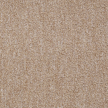 Win Win Commercial Carpet by Philadelphia Commercial in the color Gold Star. Sample of golds carpet pattern and texture.