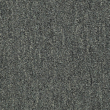 Win Win Commercial Carpet by Philadelphia Commercial in the color Sweet Success. Sample of greens carpet pattern and texture.