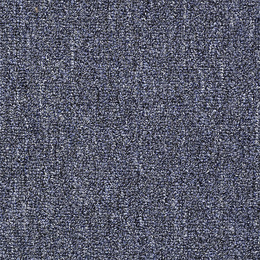 Win Win Commercial Carpet by Philadelphia Commercial in the color Blue Ribbon. Sample of blues carpet pattern and texture.