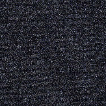 Win Win Commercial Carpet by Philadelphia Commercial in the color Brilliant. Sample of blues carpet pattern and texture.