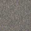 Win Win Commercial Carpet by Philadelphia Commercial in the color Be Victorious. Sample of grays carpet pattern and texture.