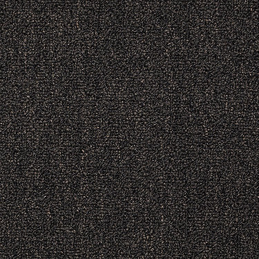 Win Win Commercial Carpet by Philadelphia Commercial in the color Knock Down. Sample of browns carpet pattern and texture.