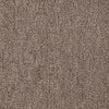 Win Win Commercial Carpet by Philadelphia Commercial in the color Dominant. Sample of browns carpet pattern and texture.