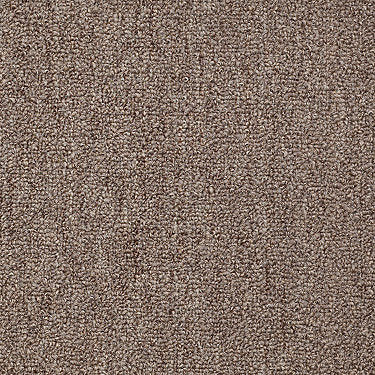 Win Win Commercial Carpet by Philadelphia Commercial in the color Dominant. Sample of browns carpet pattern and texture.