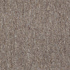 Win Win Commercial Carpet by Philadelphia Commercial in the color Lady Luck. Sample of browns carpet pattern and texture.