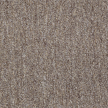 Win Win Commercial Carpet by Philadelphia Commercial in the color Lady Luck. Sample of browns carpet pattern and texture.