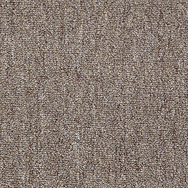 Win Win Commercial Carpet by Philadelphia Commercial in the color Lady Luck. Sample of browns carpet pattern and texture.