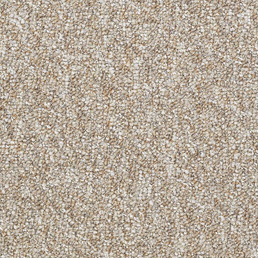 Camden Harbor Ii Epbl Commercial Carpet by Philadelphia Commercial in the color Belgian Linen. Sample of beiges carpet pattern and texture.