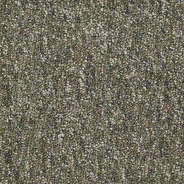 Camden Harbor Ii Epbl Commercial Carpet by Philadelphia Commercial in the color Marsh. Sample of greens carpet pattern and texture.