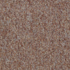 Camden Harbor Ii Epbl Commercial Carpet by Philadelphia Commercial in the color Pumpkin. Sample of oranges carpet pattern and texture.