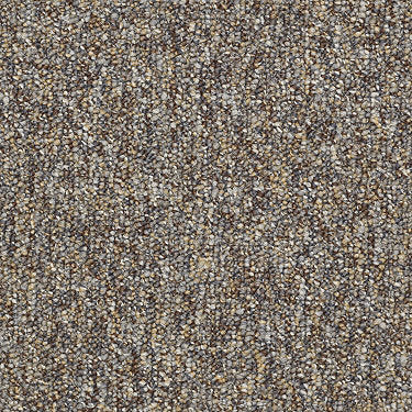 Camden Harbor Ii Epbl Commercial Carpet by Philadelphia Commercial in the color Pebble. Sample of browns carpet pattern and texture.