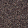 Camden Harbor Ii Epbl Commercial Carpet by Philadelphia Commercial in the color Henna Spice. Sample of reds carpet pattern and texture.