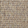 Speak Out Commercial Carpet by Philadelphia Commercial in the color Volumize. Sample of beiges carpet pattern and texture.