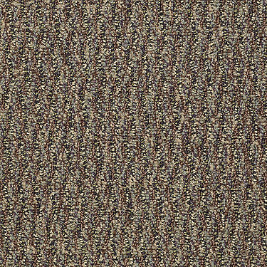 Speak Freely Commercial Carpet by Philadelphia Commercial in the color Come Clean. Sample of browns carpet pattern and texture.