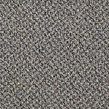 Speak Easy Commercial Carpet by Philadelphia Commercial in the color Tranquil. Sample of grays carpet pattern and texture.