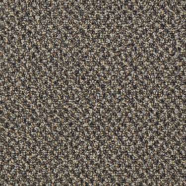 Speak Easy Commercial Carpet by Philadelphia Commercial in the color Low Key. Sample of grays carpet pattern and texture.