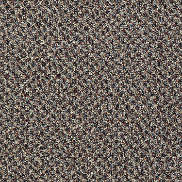 Speak Easy Commercial Carpet by Philadelphia Commercial in the color Fluent. Sample of browns carpet pattern and texture.