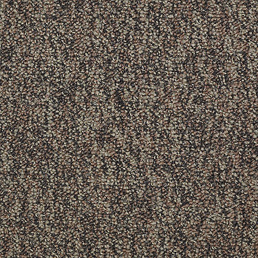 Rush Delivery Commercial Carpet by Philadelphia Commercial in the color Get Cracking. Sample of browns carpet pattern and texture.