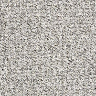 Parade Of Champions Ii 12' Commercial Carpet by Philadelphia Commercial in the color Fossil. Sample of grays carpet pattern and texture.