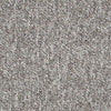 Parade Of Champions Ii 12' Commercial Carpet by Philadelphia Commercial in the color Dover Cliffs. Sample of browns carpet pattern and texture.