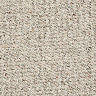 Parade Of Champions Ii 12' Commercial Carpet by Philadelphia Commercial in the color Valley Beige. Sample of browns carpet pattern and texture.