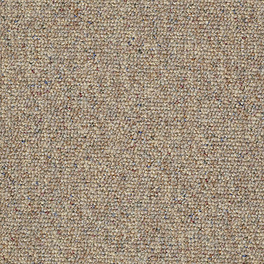 Parade Of Champions Ii 12' Commercial Carpet by Philadelphia Commercial in the color Bran Muffin. Sample of browns carpet pattern and texture.