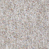 Parade Of Champions Ii 15' Commercial Carpet by Philadelphia Commercial in the color City Lights. Sample of beiges carpet pattern and texture.