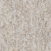 Parade Of Champions Ii 15' Commercial Carpet by Philadelphia Commercial in the color Cookie Crumb. Sample of golds carpet pattern and texture.