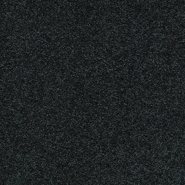 Parade Of Champions Ii 15' Commercial Carpet by Philadelphia Commercial in the color Stainless. Sample of grays carpet pattern and texture.