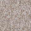 Parade Of Champions Ii 15' Commercial Carpet by Philadelphia Commercial in the color Acorn. Sample of browns carpet pattern and texture.