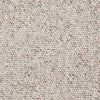 Parade Of Champions Ii 15' Commercial Carpet by Philadelphia Commercial in the color Valley Beige. Sample of browns carpet pattern and texture.