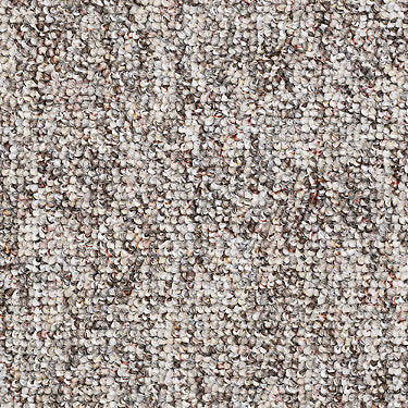 Parade Of Champions Ii 15' Commercial Carpet by Philadelphia Commercial in the color Granite. Sample of browns carpet pattern and texture.