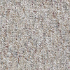 Parade Of Champions Ii 15' Commercial Carpet by Philadelphia Commercial in the color Dill. Sample of browns carpet pattern and texture.