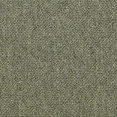 Capital Iii Tile Commercial Carpet by Philadelphia Commercial in the color Distinguished. Sample of greens carpet pattern and texture.
