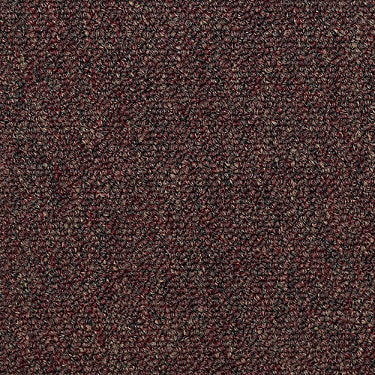 Capital Iii Tile Commercial Carpet by Philadelphia Commercial in the color Court House. Sample of browns carpet pattern and texture.
