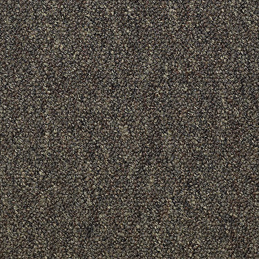 Capital Iii Tile Commercial Carpet by Philadelphia Commercial in the color Eminence. Sample of browns carpet pattern and texture.