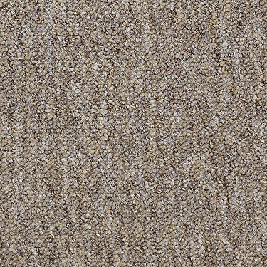 Capital Iii Tile Commercial Carpet by Philadelphia Commercial in the color Justice. Sample of browns carpet pattern and texture.