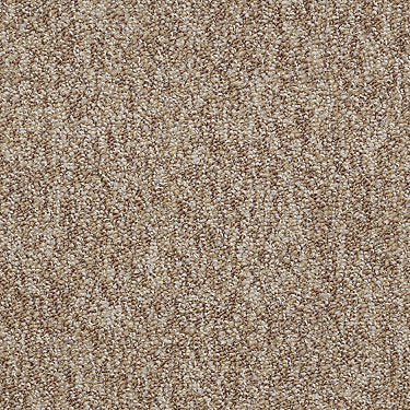 Sound Advice Tile Commercial Carpet by Philadelphia Commercial in the color Encourage. Sample of browns carpet pattern and texture.