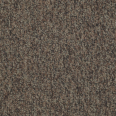 Sound Advice Tile Commercial Carpet by Philadelphia Commercial in the color Plan Ahead. Sample of browns carpet pattern and texture.